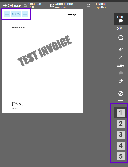 Invoice image zoom and pages